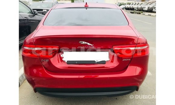 Acheter Import Voiture Jaguar XE Rouge à Import - Dubai, Barh el Gazel Acheter Import Voiture Jaguar XE Rouge à Import - Dubai, Barh el Gazel