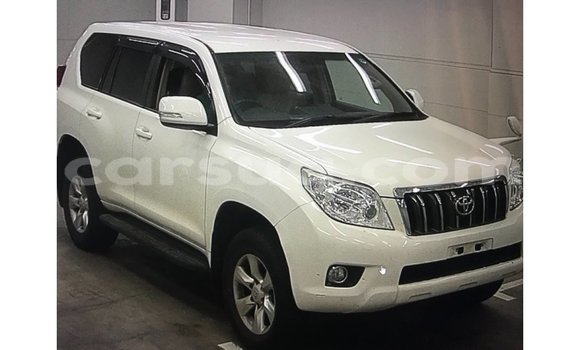 Acheter Import Voiture Toyota Prado Blanc à Import - Dubai, Barh el Gazel Acheter Import Voiture Toyota Prado Blanc à Import - Dubai, Barh el Gazel