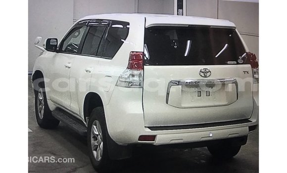 Acheter Import Voiture Toyota Prado Blanc à Import - Dubai, Barh el Gazel Acheter Import Voiture Toyota Prado Blanc à Import - Dubai, Barh el Gazel