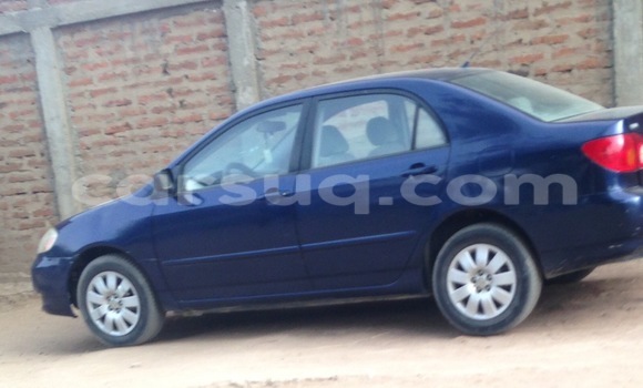 Acheter Occasion Voiture Toyota Corolla Bleu à N'Djamena au Tchad Acheter Occasion Voiture Toyota Corolla Bleu à N'Djamena au Tchad