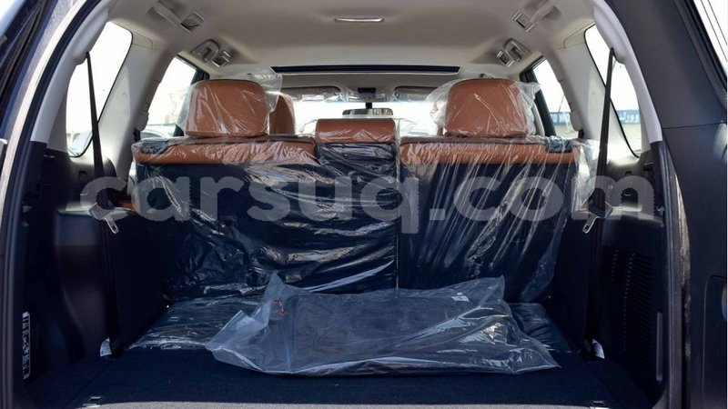 Big with watermark 8