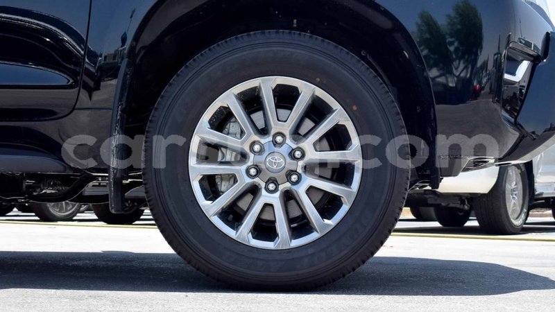 Big with watermark 16