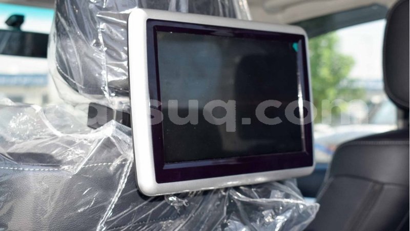 Big with watermark 11