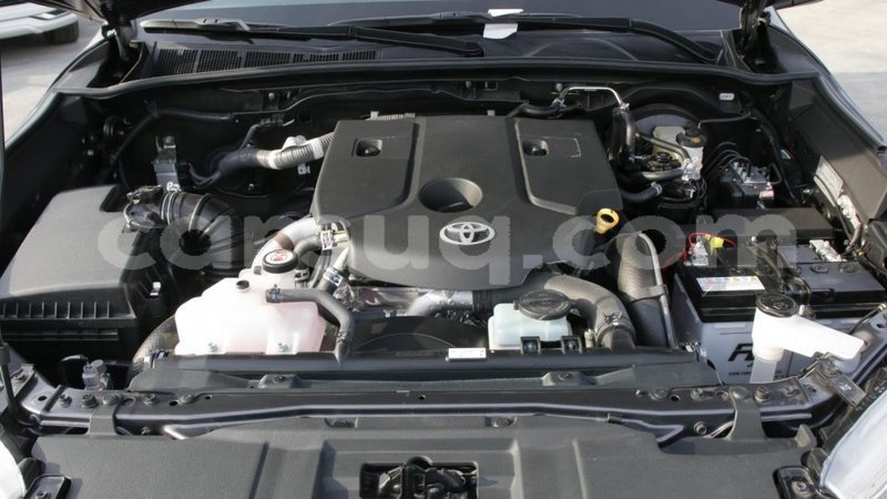 Big with watermark 13