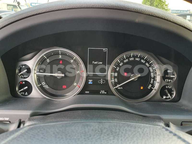 Big with watermark 7