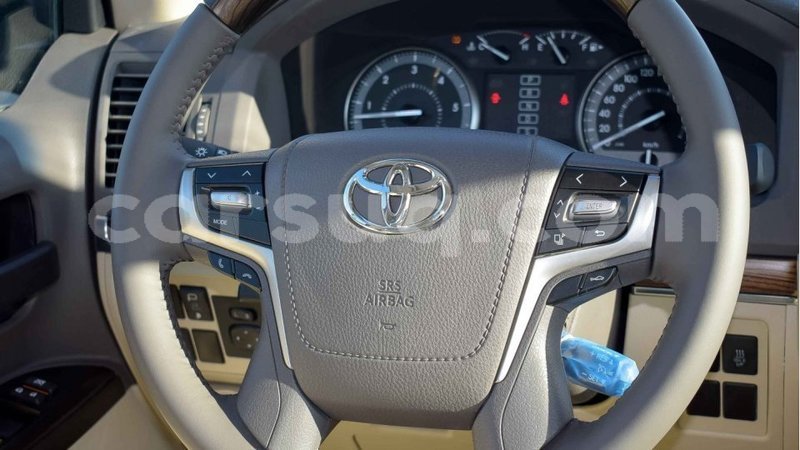 Big with watermark 8