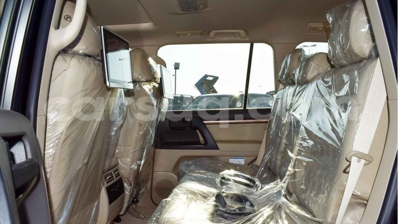 Big with watermark 6