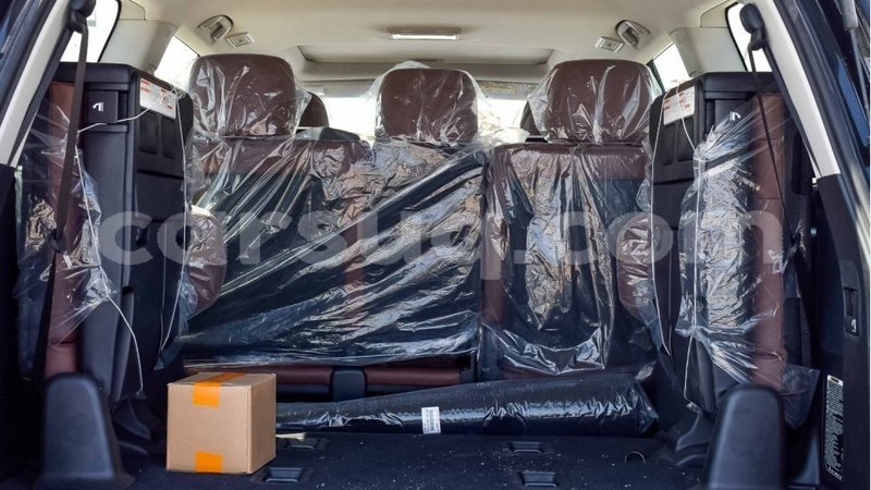 Big with watermark 8