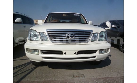 Acheter Import Voiture Toyota Land Cruiser Blanc à Import - Dubai, Barh el Gazel Acheter Import Voiture Toyota Land Cruiser Blanc à Import - Dubai, Barh el Gazel