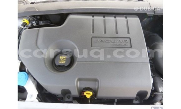 Acheter Import Voiture Jaguar E-Pace Blanc à Import - Dubai, Barh el Gazel Acheter Import Voiture Jaguar E-Pace Blanc à Import - Dubai, Barh el Gazel