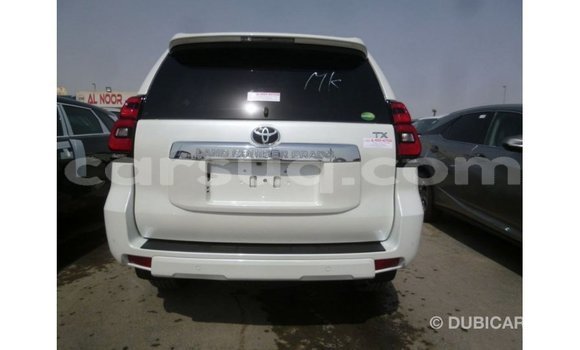 Acheter Import Voiture Toyota Prado Blanc à Import - Dubai, Barh el Gazel Acheter Import Voiture Toyota Prado Blanc à Import - Dubai, Barh el Gazel