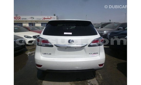 Acheter Import Voiture Lexus RX Blanc à Import - Dubai, Barh el Gazel Acheter Import Voiture Lexus RX Blanc à Import - Dubai, Barh el Gazel