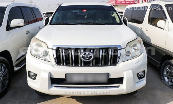Acheter Import Voiture Toyota Prado Blanc à Import - Dubai, Barh el Gazel Acheter Import Voiture Toyota Prado Blanc à Import - Dubai, Barh el Gazel