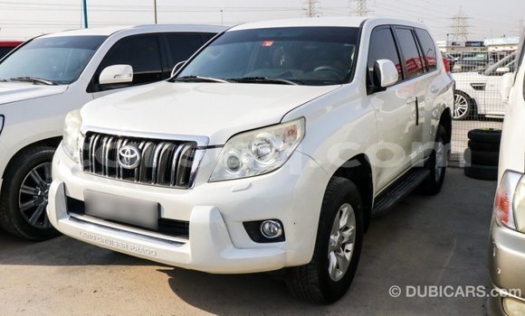 Acheter Import Voiture Toyota Prado Blanc à Import - Dubai, Barh el Gazel Acheter Import Voiture Toyota Prado Blanc à Import - Dubai, Barh el Gazel