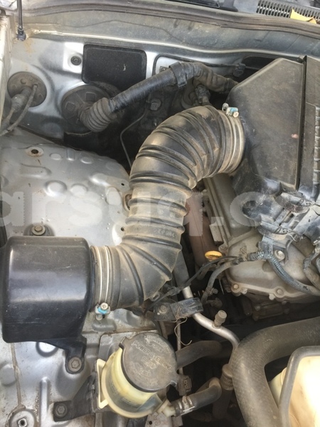 Big with watermark img 6186