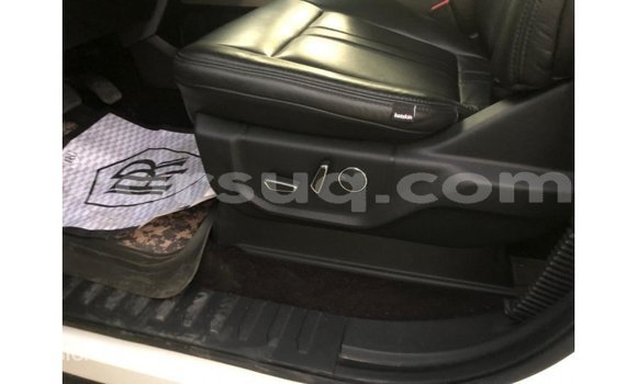 Acheter Import Voiture Ford V8 Blanc à Import - Dubai, Barh el Gazel Acheter Import Voiture Ford V8 Blanc à Import - Dubai, Barh el Gazel