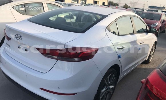 Acheter Import Voiture Hyundai Elantra Blanc à Import - Dubai, Barh el Gazel Acheter Import Voiture Hyundai Elantra Blanc à Import - Dubai, Barh el Gazel