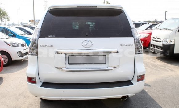 Acheter Import Voiture Lexus GX Blanc à Import - Dubai, Barh el Gazel Acheter Import Voiture Lexus GX Blanc à Import - Dubai, Barh el Gazel