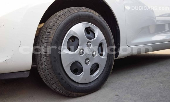 Acheter Import Voiture Kia Picanto Blanc à Import - Dubai, Barh el Gazel Acheter Import Voiture Kia Picanto Blanc à Import - Dubai, Barh el Gazel