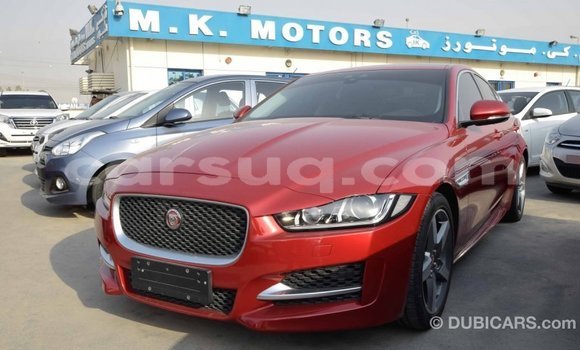 Buy Import Jaguar XE Red Car in Import - Dubai in Barh el Gazel Buy Import Jaguar XE Red Car in Import - Dubai in Barh el Gazel