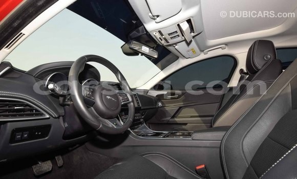 Buy Import Jaguar XE Red Car in Import - Dubai in Barh el Gazel Buy Import Jaguar XE Red Car in Import - Dubai in Barh el Gazel