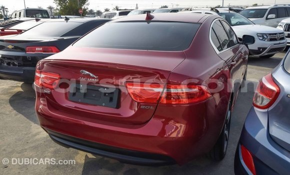 Buy Import Jaguar XE Red Car in Import - Dubai in Barh el Gazel Buy Import Jaguar XE Red Car in Import - Dubai in Barh el Gazel