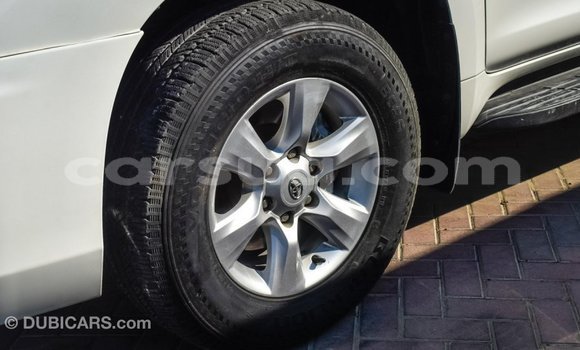 Acheter Import Voiture Toyota Prado Blanc à Import - Dubai, Barh el Gazel Acheter Import Voiture Toyota Prado Blanc à Import - Dubai, Barh el Gazel