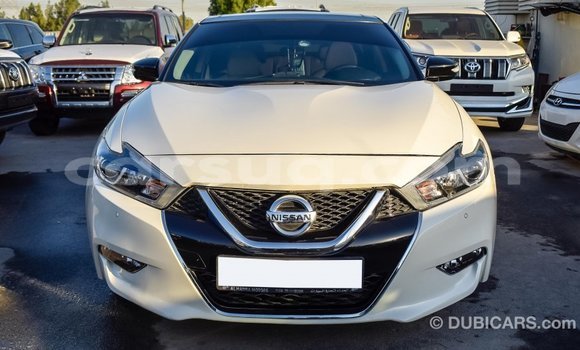 Acheter Import Voiture Nissan Maxima Blanc à Import - Dubai, Barh el Gazel Acheter Import Voiture Nissan Maxima Blanc à Import - Dubai, Barh el Gazel
