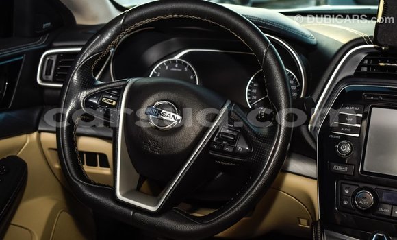 Acheter Import Voiture Nissan Maxima Blanc à Import - Dubai, Barh el Gazel Acheter Import Voiture Nissan Maxima Blanc à Import - Dubai, Barh el Gazel