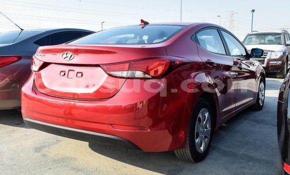 Acheter Import Voiture Hyundai Elantra Rouge à Import - Dubai, Barh el Gazel Acheter Import Voiture Hyundai Elantra Rouge à Import - Dubai, Barh el Gazel
