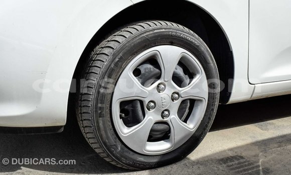 Acheter Import Voiture Kia Picanto Blanc à Import - Dubai, Barh el Gazel Acheter Import Voiture Kia Picanto Blanc à Import - Dubai, Barh el Gazel