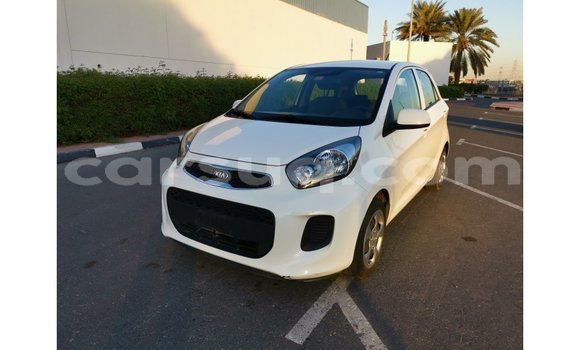 Acheter Import Voiture Kia Picanto Blanc à Import - Dubai, Barh el Gazel Acheter Import Voiture Kia Picanto Blanc à Import - Dubai, Barh el Gazel