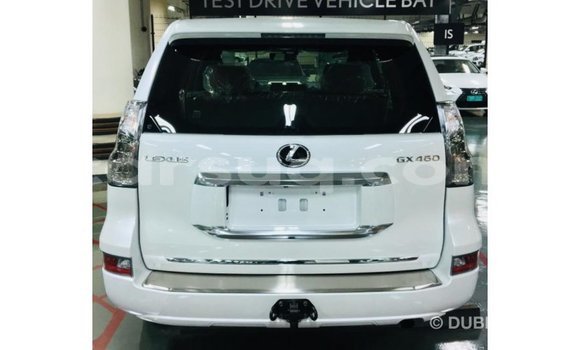 Buy Import Lexus GX White Car in Import - Dubai in Barh el Gazel Buy Import Lexus GX White Car in Import - Dubai in Barh el Gazel