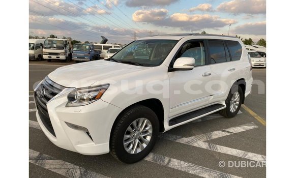 Acheter Import Voiture Lexus GX Blanc à Import - Dubai, Barh el Gazel Acheter Import Voiture Lexus GX Blanc à Import - Dubai, Barh el Gazel