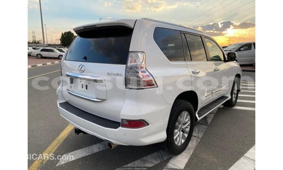 Acheter Import Voiture Lexus GX Blanc à Import - Dubai, Barh el Gazel Acheter Import Voiture Lexus GX Blanc à Import - Dubai, Barh el Gazel