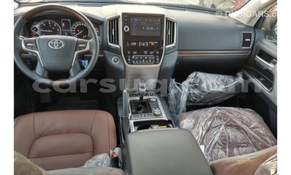 Acheter Import Voiture Toyota Land Cruiser Blanc à Import - Dubai, Barh el Gazel Acheter Import Voiture Toyota Land Cruiser Blanc à Import - Dubai, Barh el Gazel