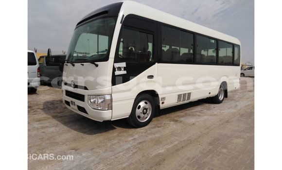 Acheter Import Voiture Toyota Coaster Blanc à Import - Dubai, Barh el Gazel Acheter Import Voiture Toyota Coaster Blanc à Import - Dubai, Barh el Gazel