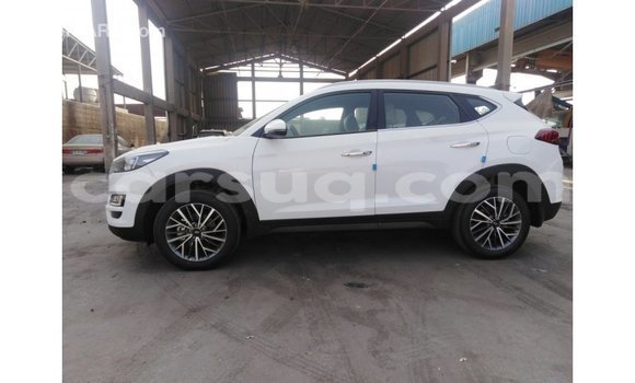 Acheter Import Voiture Hyundai Tucson Blanc à Import - Dubai, Barh el Gazel Acheter Import Voiture Hyundai Tucson Blanc à Import - Dubai, Barh el Gazel