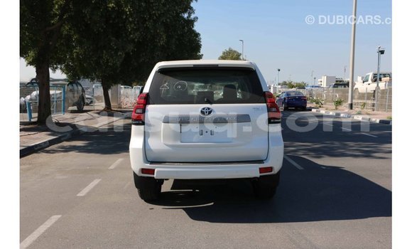 Acheter Import Voiture Toyota Prado Blanc à Import - Dubai, Barh el Gazel Acheter Import Voiture Toyota Prado Blanc à Import - Dubai, Barh el Gazel