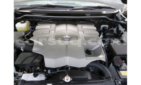 Acheter Import Voiture Toyota Land Cruiser Blanc à Import - Dubai, Barh el Gazel Acheter Import Voiture Toyota Land Cruiser Blanc à Import - Dubai, Barh el Gazel