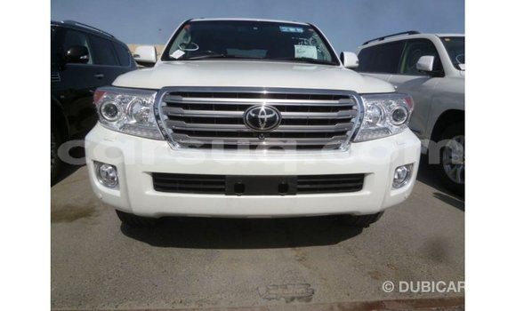 Acheter Import Voiture Toyota Land Cruiser Blanc à Import - Dubai, Barh el Gazel Acheter Import Voiture Toyota Land Cruiser Blanc à Import - Dubai, Barh el Gazel
