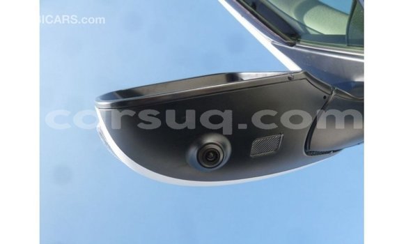 Acheter Import Voiture Toyota Land Cruiser Blanc à Import - Dubai, Barh el Gazel Acheter Import Voiture Toyota Land Cruiser Blanc à Import - Dubai, Barh el Gazel