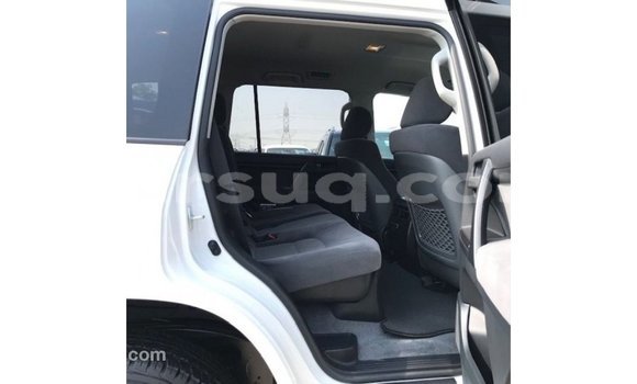 Acheter Import Voiture Toyota Land Cruiser Blanc à Import - Dubai, Barh el Gazel Acheter Import Voiture Toyota Land Cruiser Blanc à Import - Dubai, Barh el Gazel