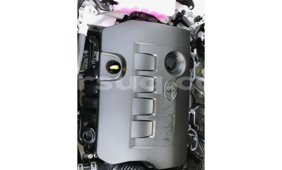 Acheter Import Voiture Toyota 4Runner Blanc à Import - Dubai, Barh el Gazel Acheter Import Voiture Toyota 4Runner Blanc à Import - Dubai, Barh el Gazel