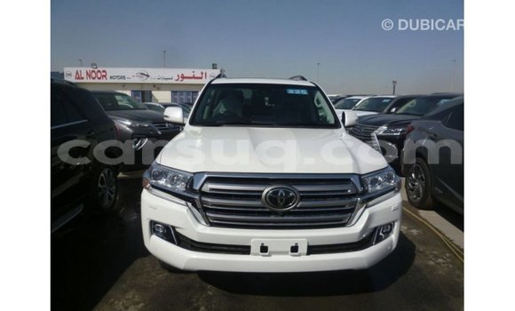 Acheter Import Voiture Toyota Land Cruiser Blanc à Import - Dubai, Barh el Gazel Acheter Import Voiture Toyota Land Cruiser Blanc à Import - Dubai, Barh el Gazel