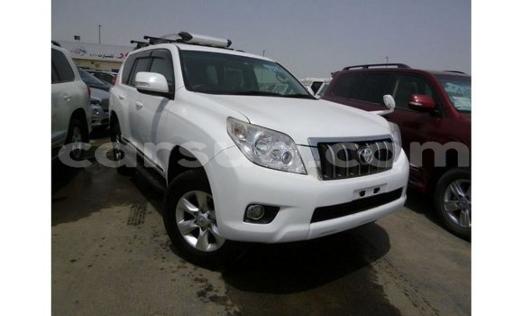 Acheter Import Voiture Toyota Prado Blanc à Import - Dubai, Barh el Gazel Acheter Import Voiture Toyota Prado Blanc à Import - Dubai, Barh el Gazel