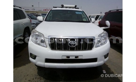 Acheter Import Voiture Toyota Prado Blanc à Import - Dubai, Barh el Gazel Acheter Import Voiture Toyota Prado Blanc à Import - Dubai, Barh el Gazel