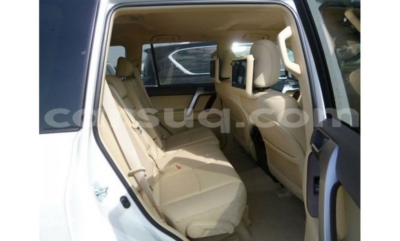 Acheter Import Voiture Toyota Prado Blanc à Import - Dubai, Barh el Gazel Acheter Import Voiture Toyota Prado Blanc à Import - Dubai, Barh el Gazel