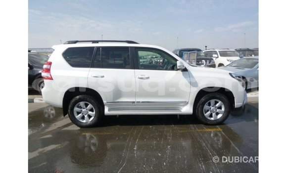 Acheter Import Voiture Toyota Prado Blanc à Import - Dubai, Barh el Gazel Acheter Import Voiture Toyota Prado Blanc à Import - Dubai, Barh el Gazel