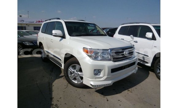 Acheter Import Voiture Toyota Land Cruiser Blanc à Import - Dubai, Barh el Gazel Acheter Import Voiture Toyota Land Cruiser Blanc à Import - Dubai, Barh el Gazel